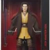 Hasbro Star Wars Black Series 6" Inch Figure: Star Wars The Acolyte: Jedi Master Sol