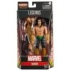 Hasbro Marvel Legends Series: Namor
